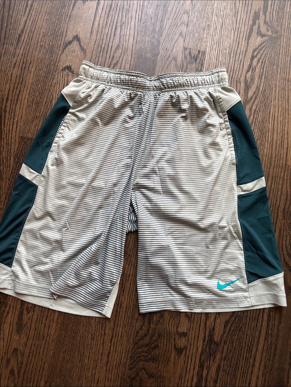 Nike Men's Light Green Shorts with Teal Accents